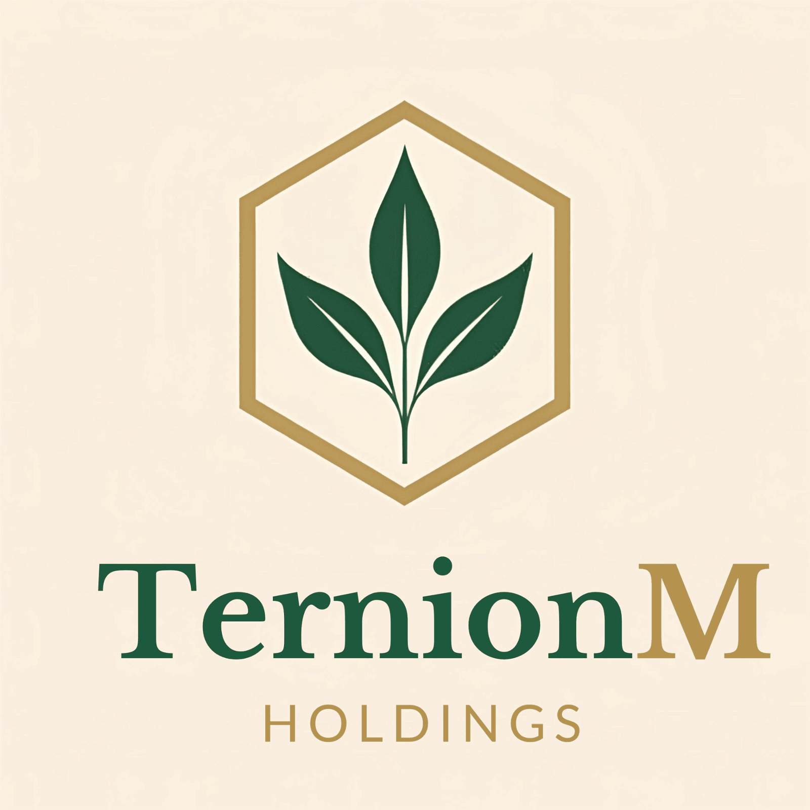 www.ternionm.com